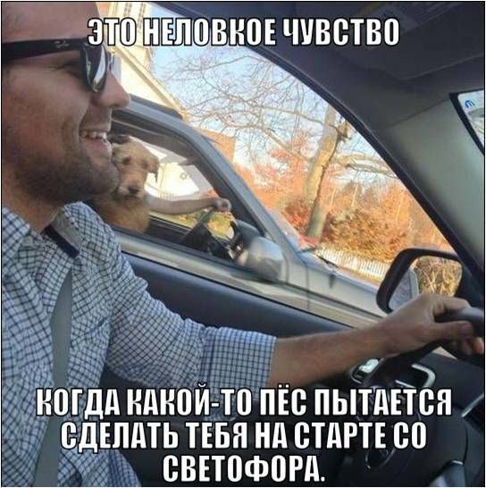 Автомобильный приколы