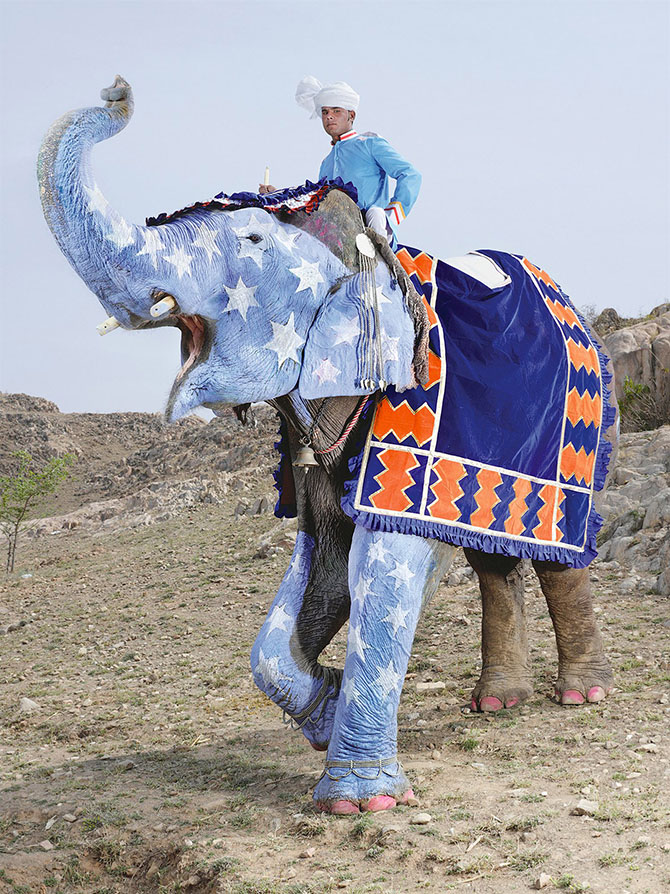 Как проходил фестиваль слонов в Джайпуре