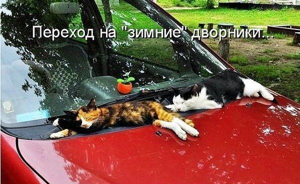 Автомобильные приколы