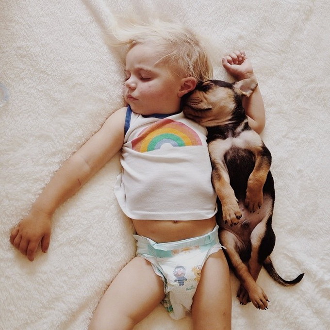 Ребенок и щенок спят вместе (14 фото)