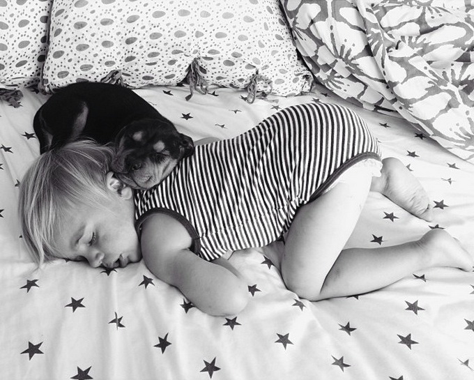 Ребенок и щенок спят вместе (14 фото)