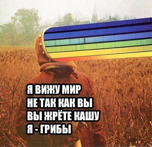 Позитивная фотоподборка