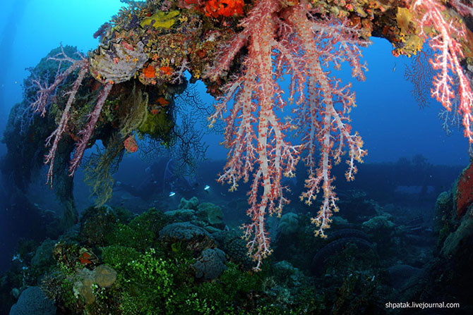 Подводное кладбище кораблей в Тихом океане