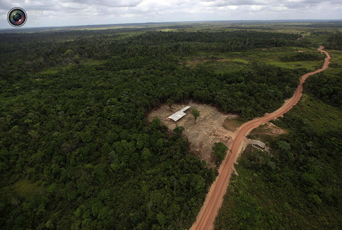 Уничтожение дождевых лесов Амазонии