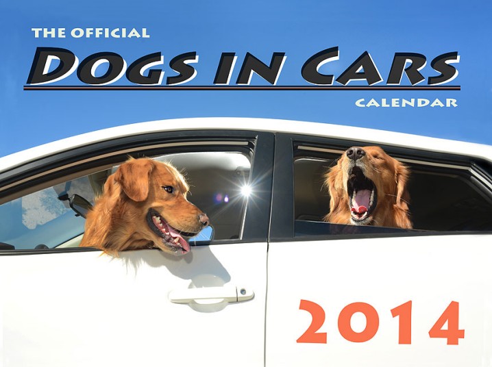 Восторженные собаки выглядывают из автомобильных окон
