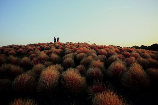 Лучшее с конкурса фотографии National Geographic 2013 (часть 2)