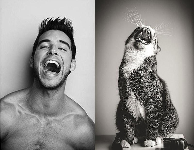 Модели vs Коты