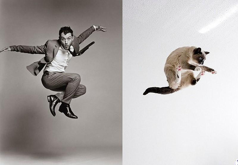 Модели vs Коты