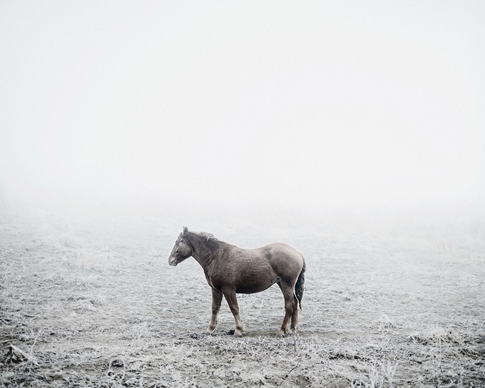 Фотограф Tamas Dezso