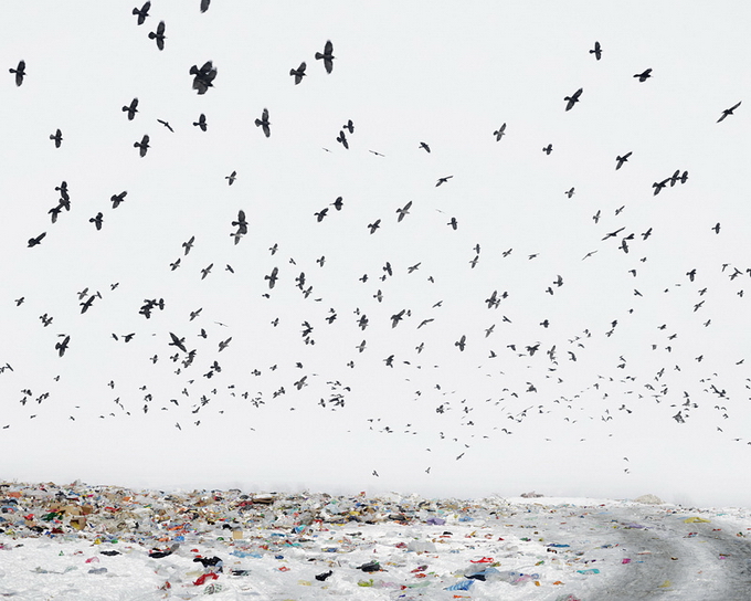 Фотограф Tamas Dezso