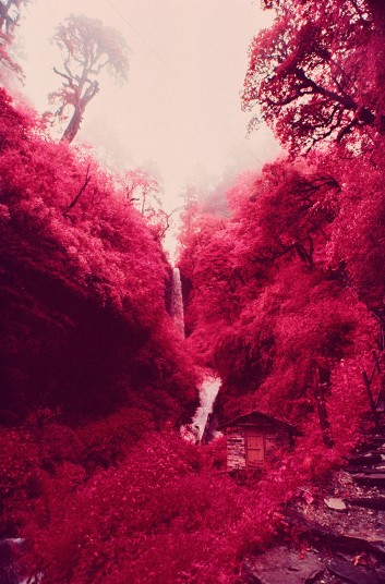 Пейзажи с помощью инфракрасной пленки Kodak