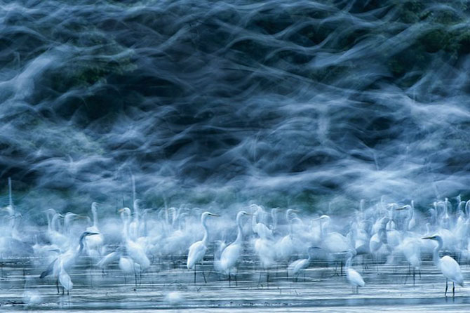 Все победители фотоконкурса &amp;laquo;National Geographic Photo Contest 2013&amp;raquo;