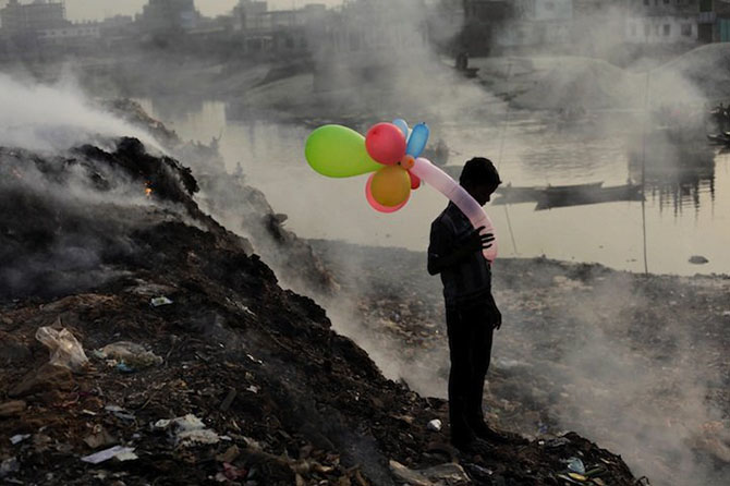 Все победители фотоконкурса &amp;laquo;National Geographic Photo Contest 2013&amp;raquo;