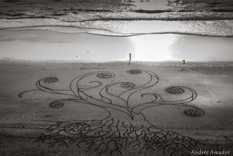 Узоры на песчаном пляже