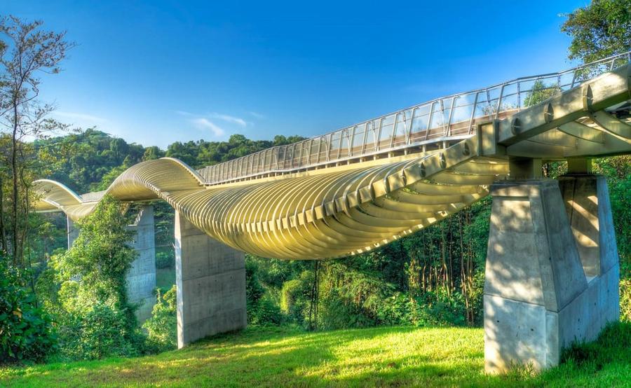 Самый волнистый мост в мире