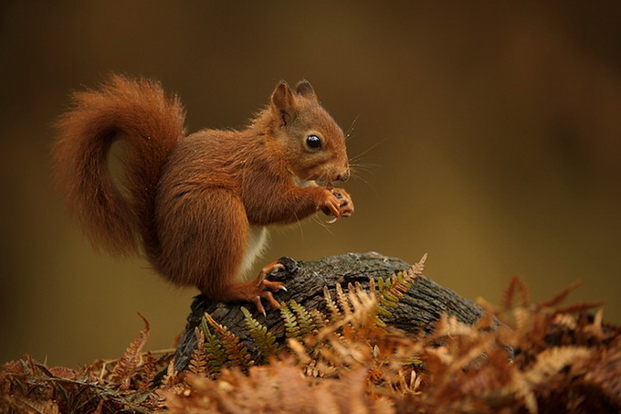 Фотограф Edwin Kats