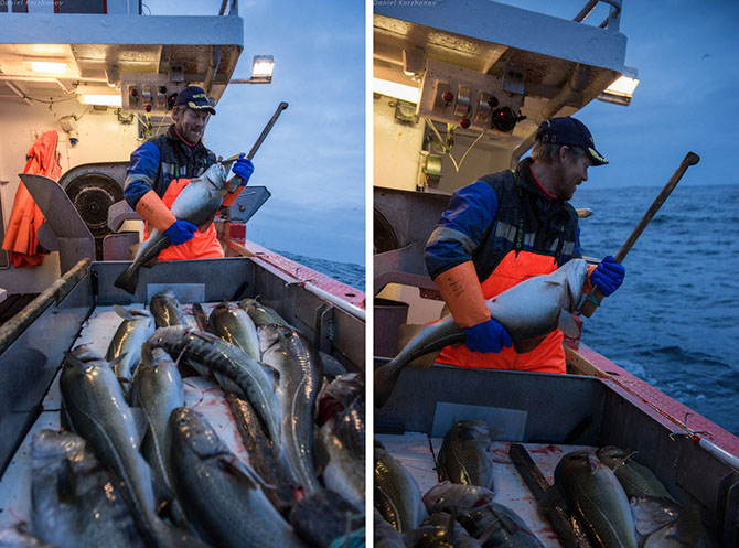 Как ловят рыбу в Норвегии