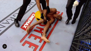 Андерсон Силва получил жуткий перелом голени на ринге (11 фото)