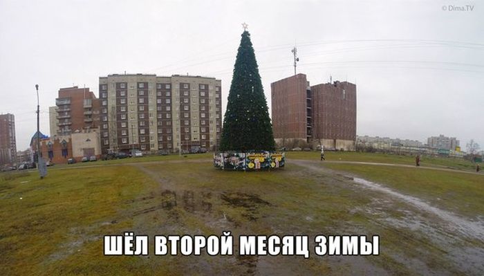 Позитивная фотоподборка