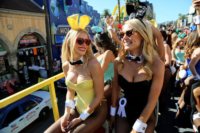 Кролики на параде по случаю празднования 60-летия Playboy