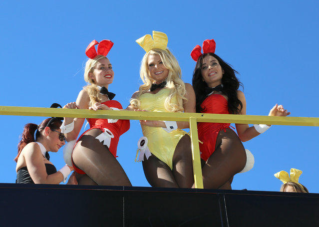 Кролики на параде по случаю празднования 60-летия Playboy