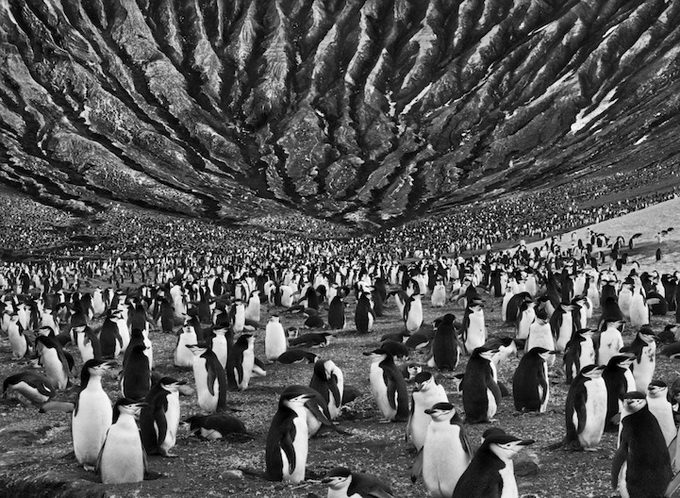 Фотограф Sebastião Salgado