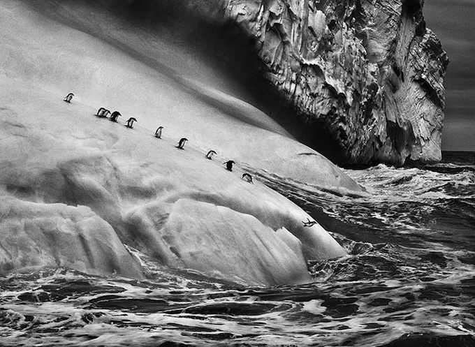 Фотограф Sebastião Salgado