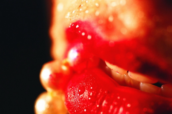 Художник Marilyn Minter