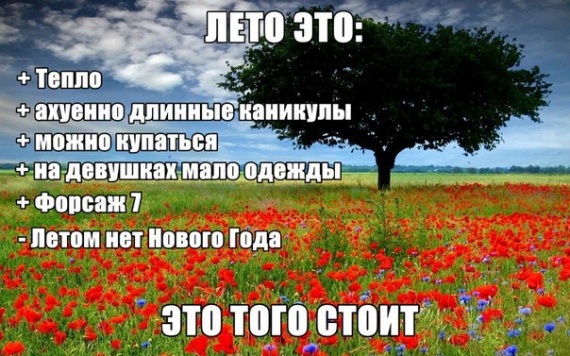 Лето стоит того