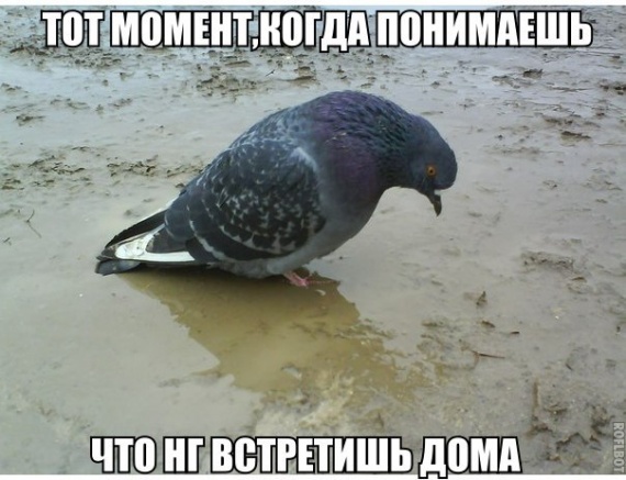 Тот момент