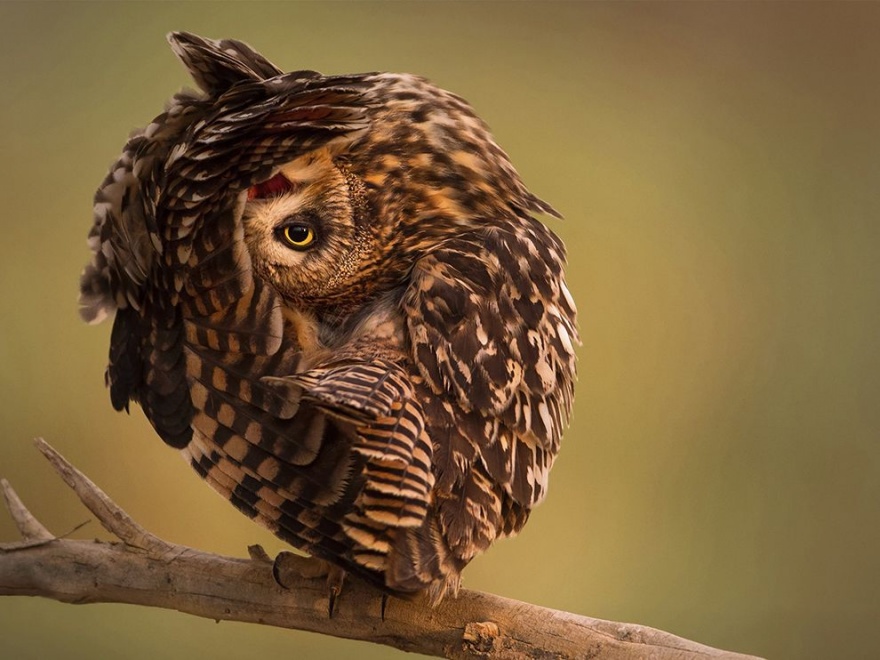 Лучшие фотографии National Geographic мая 2014