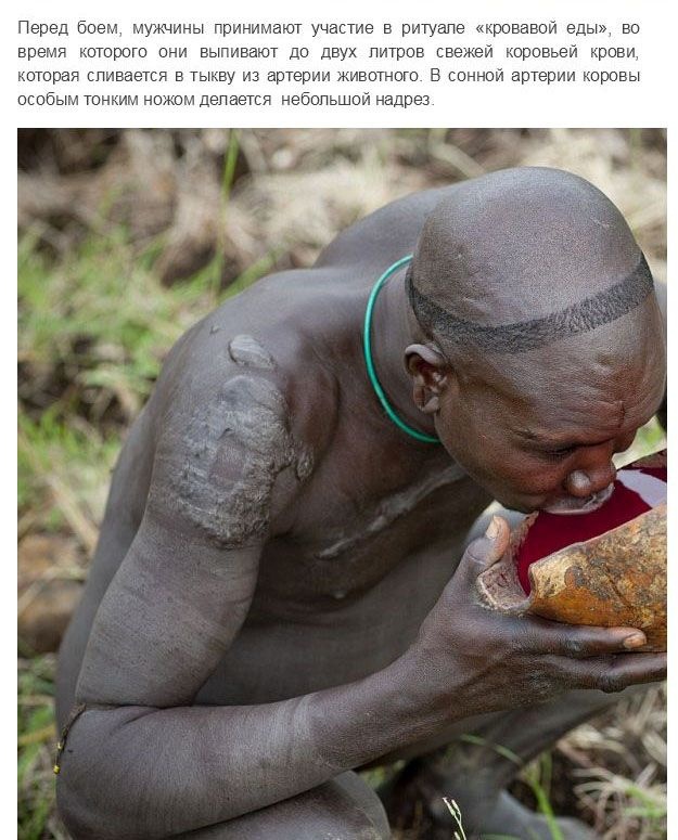 Испытание мужчин племени Сурма в Эфиопии