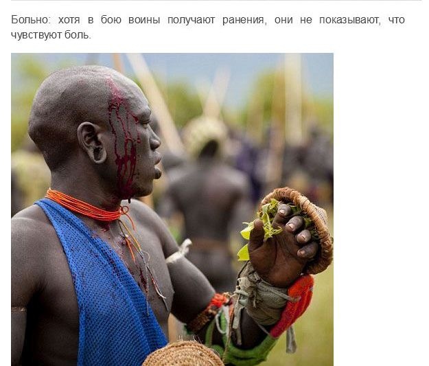 Испытание мужчин племени Сурма в Эфиопии
