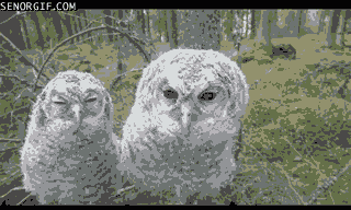 Гифки 06.06.2014 (25 штук)