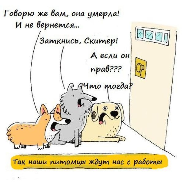 Смешные комиксы (20 картинок) 09.06.2014