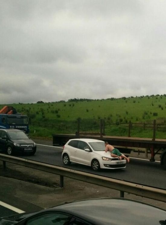 Прикольные картинки (129 фото) 10.06.2014