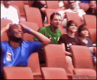 Эмоции болельщиков (38 гифок)