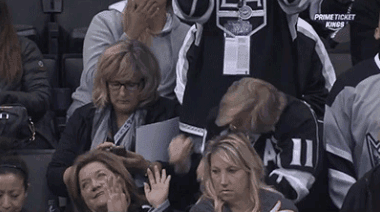 Эмоции болельщиков (38 гифок)