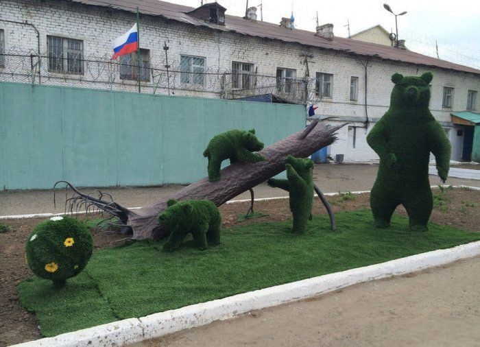 Русские медведи в городах и на дорогах (60 фото)