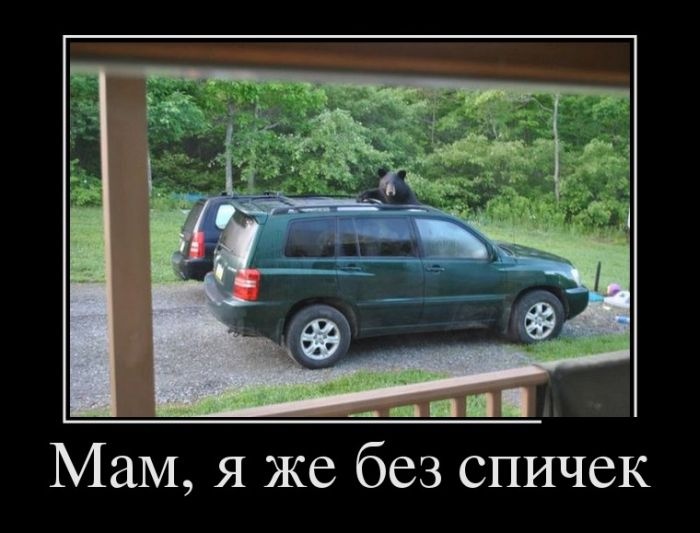 Демотиваторы (30 фото)