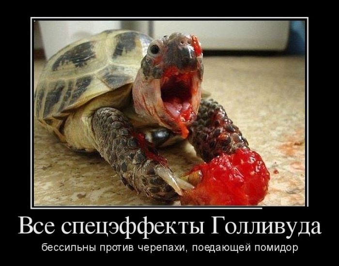 Демотиваторы (30 фото)