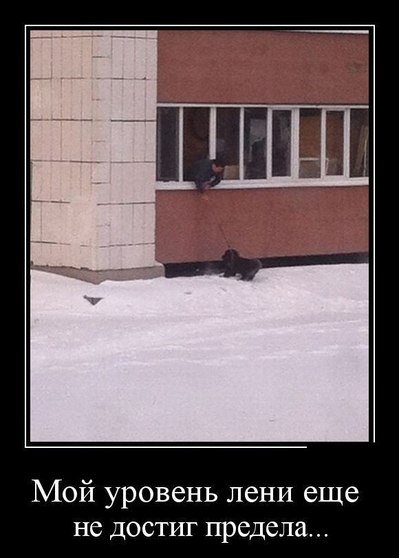 Демотиваторы (30 фото)