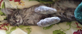 Классные гифки (25 гифок) 25.06.2014