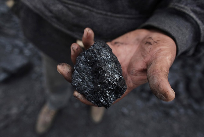 Уголь — древнее растение под землей