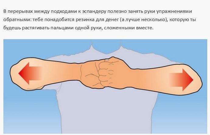 Простые упражнения  тренирующие все 27 мышц рук (12 фото)