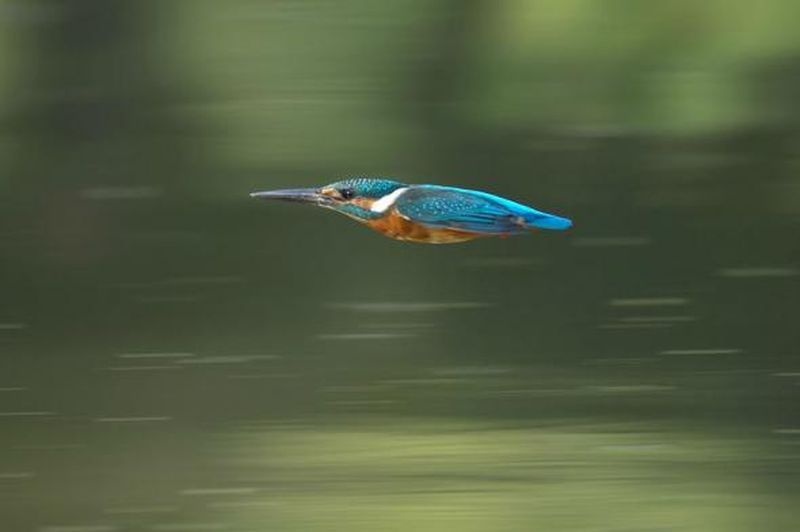 Эмоциональная фотоподборка (40 фото)