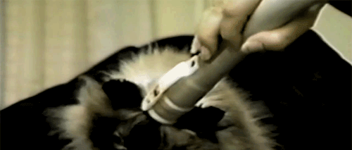 Классные гифки (25 гифок) 07.07.2014