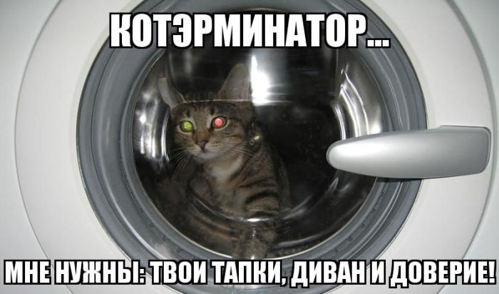 Прикольные картинки (112 фото) 07.07.2014