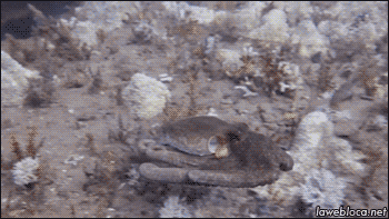 Классные гифки (25 гифок) 07.07.2014