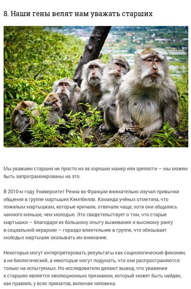 10 преимуществ пожилого возраста